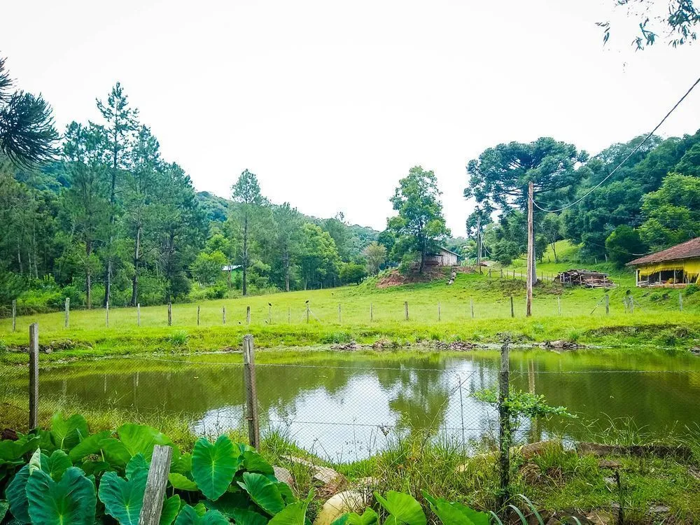 Chácara, 2 hectares - Foto 1
