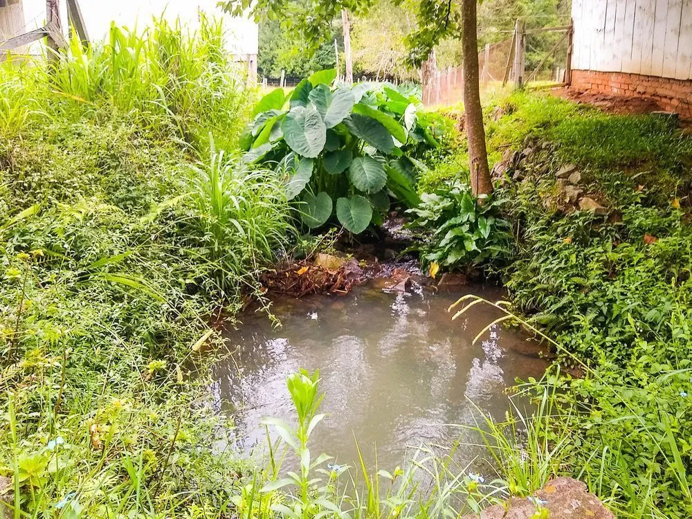 Chácara, 2 hectares - Foto 4