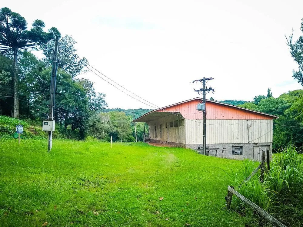 Chácara, 2 hectares - Foto 2