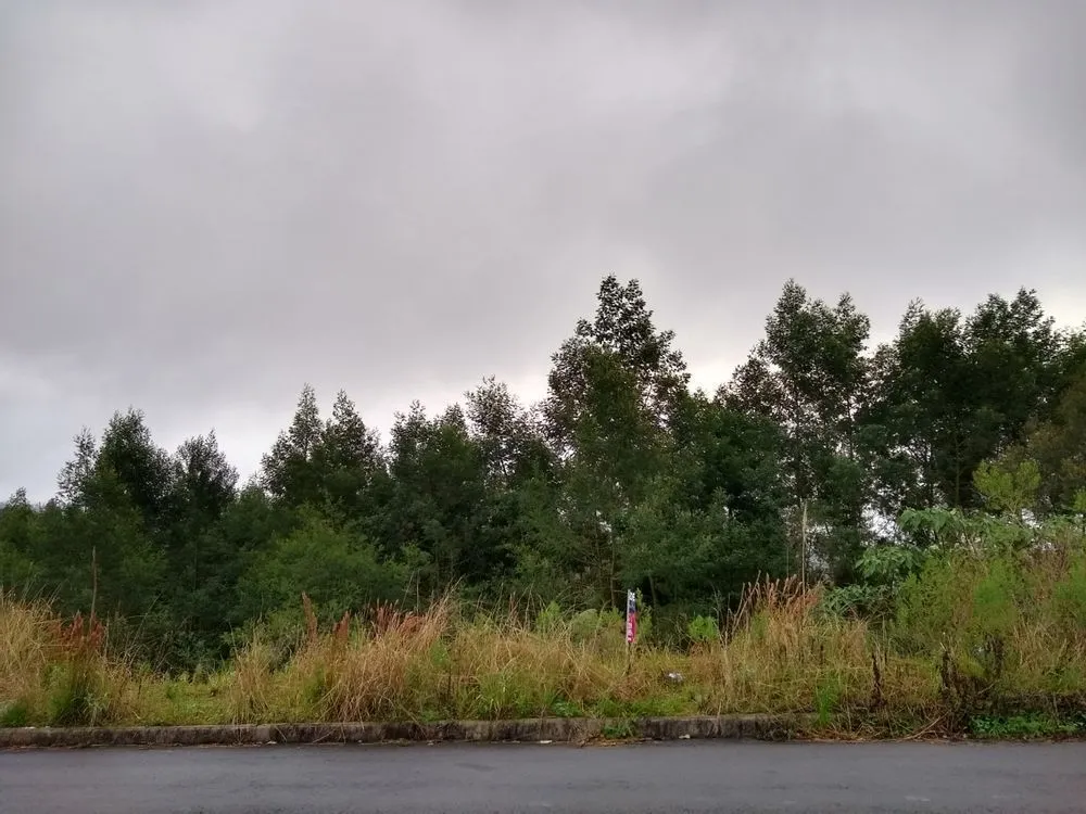 Terreno, 500 m² - Foto 1