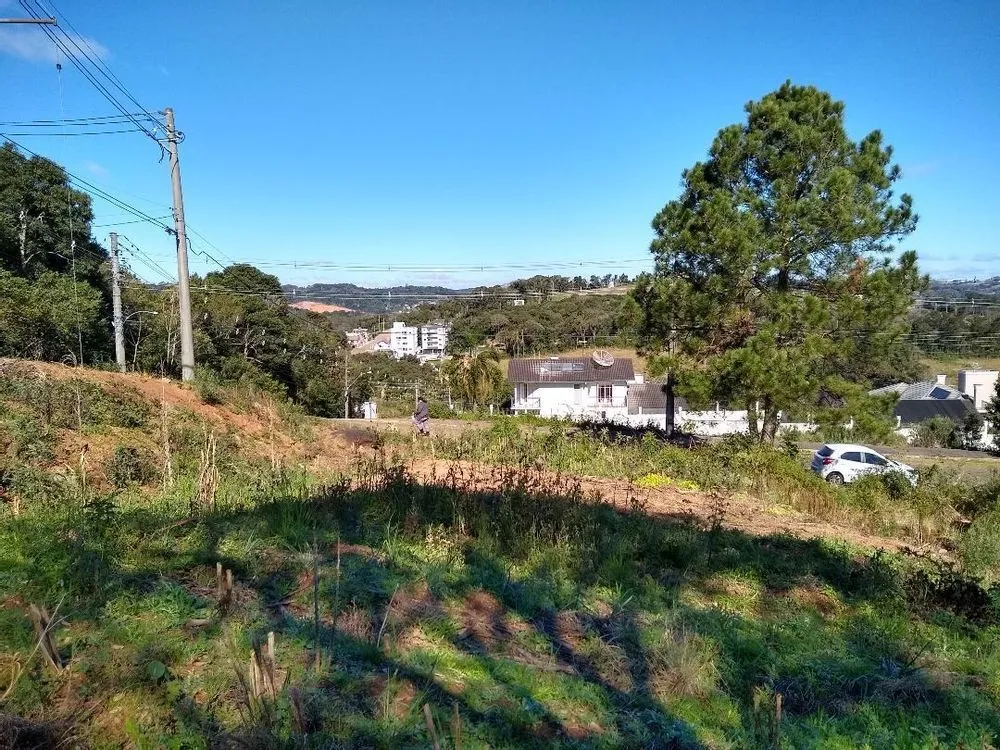 Terreno, 450 m² - Foto 2