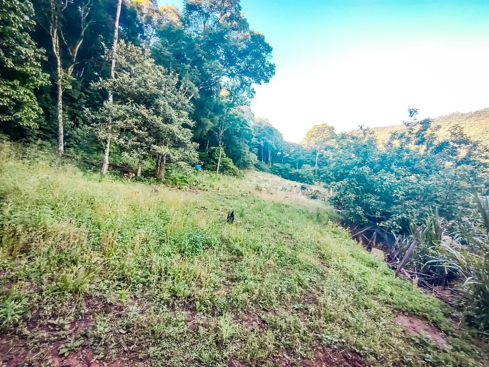 Sítio, 8 hectares - Foto 1
