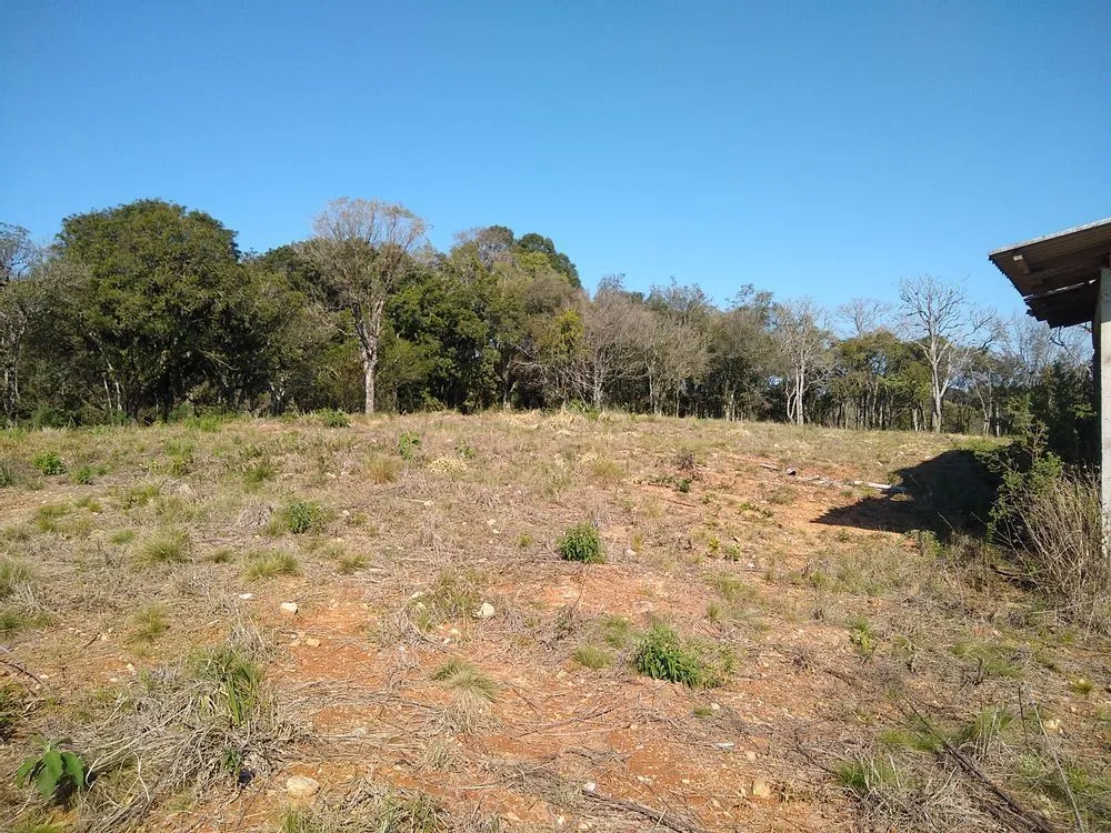 Terreno, 1 hectares - Foto 4