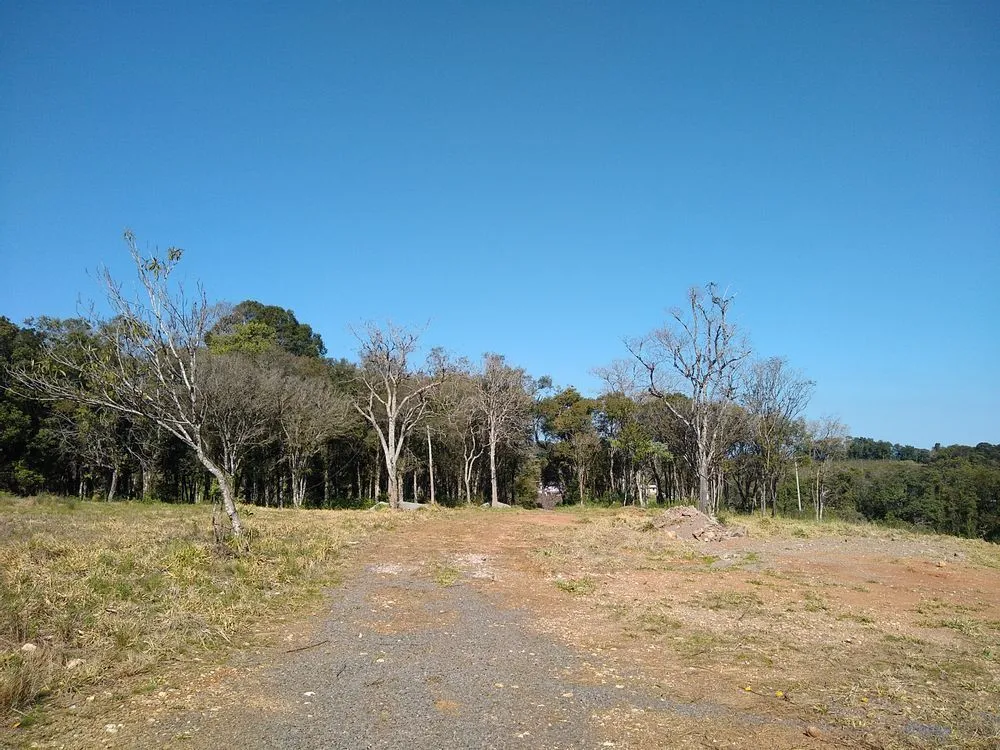 Terreno, 1 hectares - Foto 3