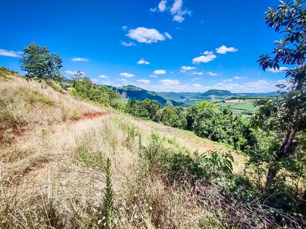 Terreno, 2 hectares - Foto 4