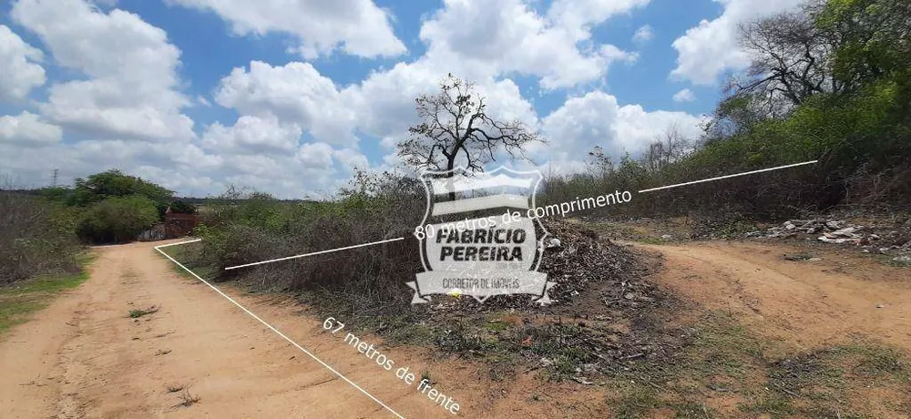Terreno, 5360 m² - Foto 5