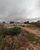 Terreno, 5000 m² - Foto 5