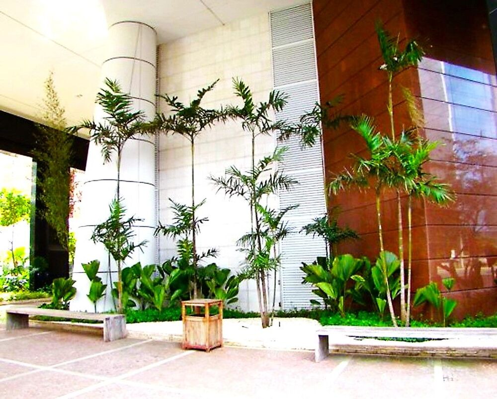Sala-Conjunto, 770 m² - Foto 3