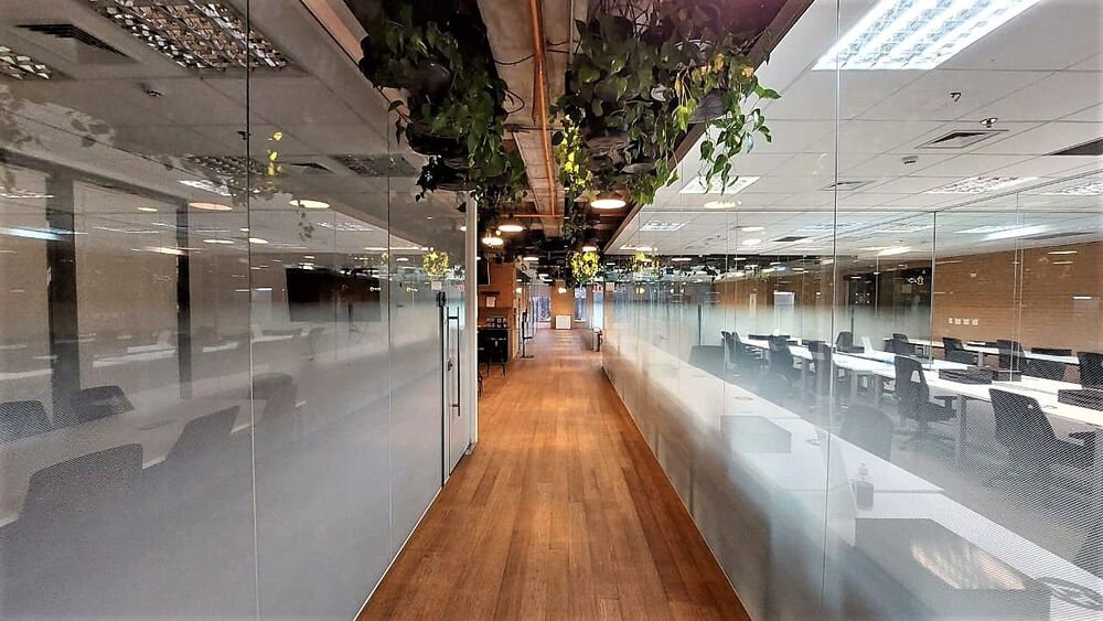 Sala-Conjunto, 333 m² - Foto 2