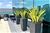 Sala-Conjunto, 751 m² - Foto 8