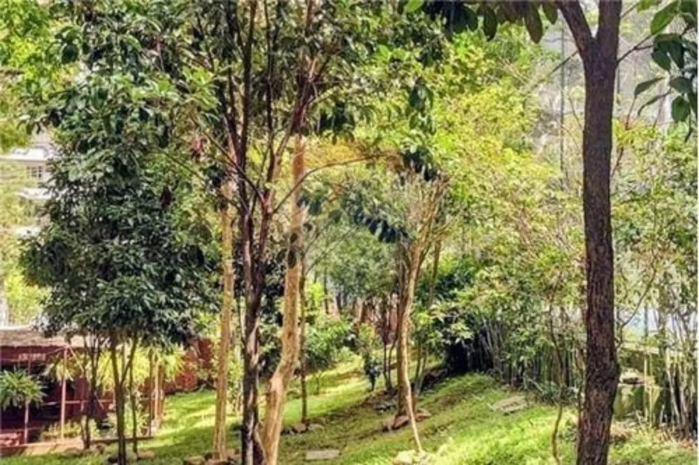 Apartamento, 4 quartos, 208 m² - Foto 1