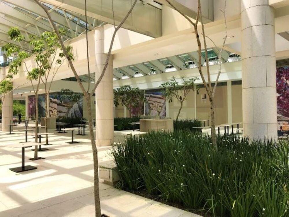 Sala-Conjunto, 343 m² - Foto 16