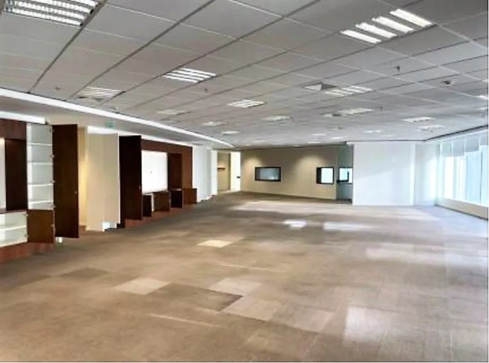 Sala-Conjunto, 1893 m² - Foto 8