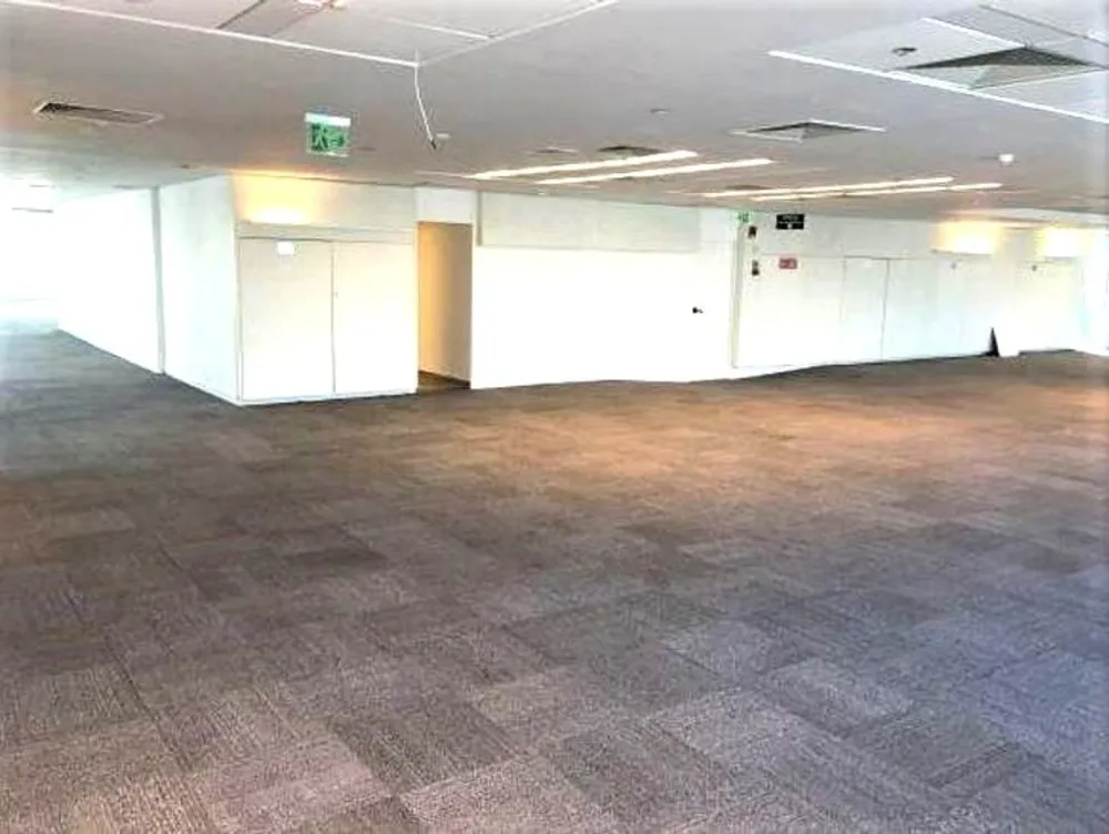 Sala-Conjunto, 1180 m² - Foto 6