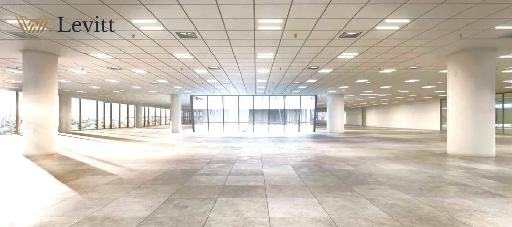Sala-Conjunto, 1007 m² - Foto 6