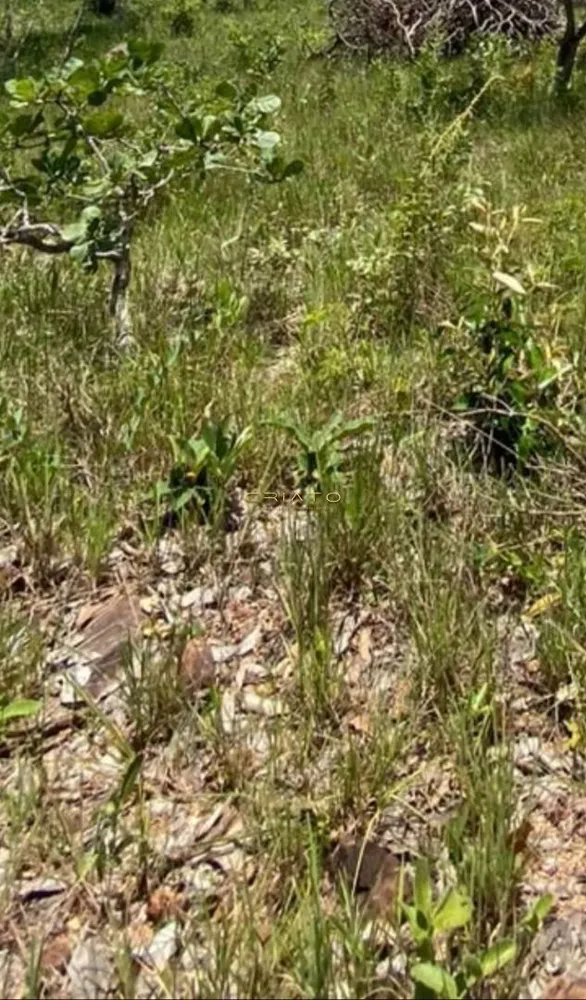 Terreno, 1000 m² - Foto 3