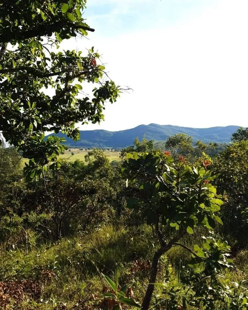 Terreno, 1000 m² - Foto 4