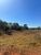 Chácara, 2 quartos, 23000 hectares - Foto 4