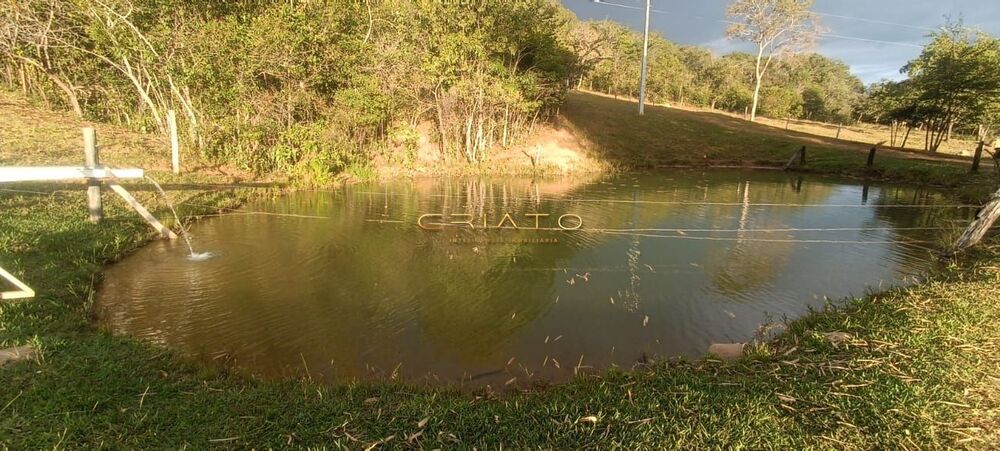 Chácara à venda com 4 quartos, 58000m² - Foto 4