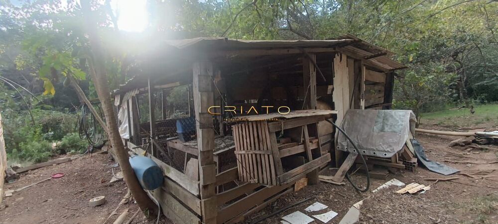 Chácara à venda com 4 quartos, 58000m² - Foto 8