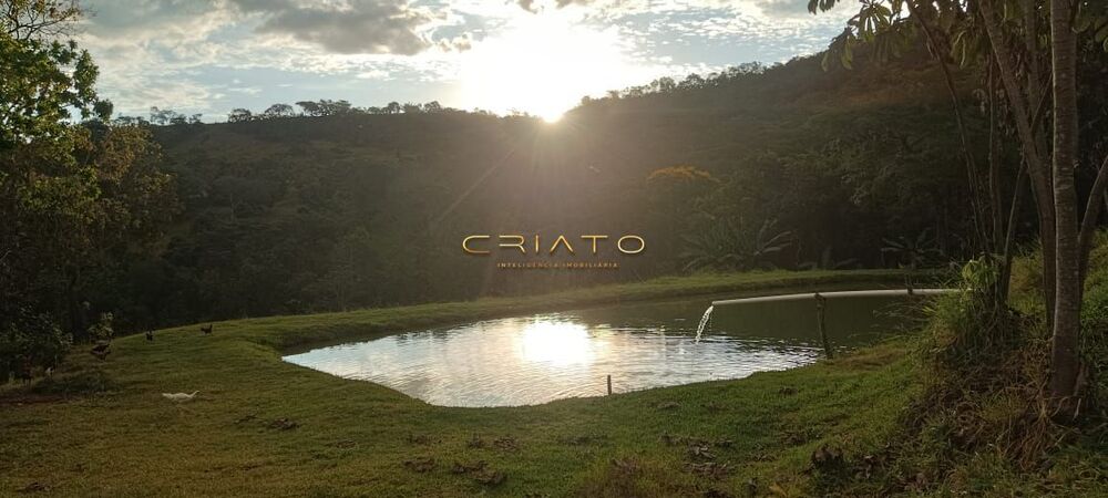 Chácara à venda com 4 quartos, 58000m² - Foto 6