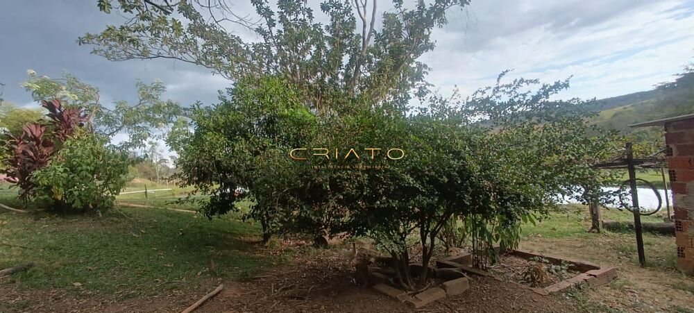 Chácara à venda com 4 quartos, 58000m² - Foto 7