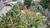 Terreno, 360 m² - Foto 1