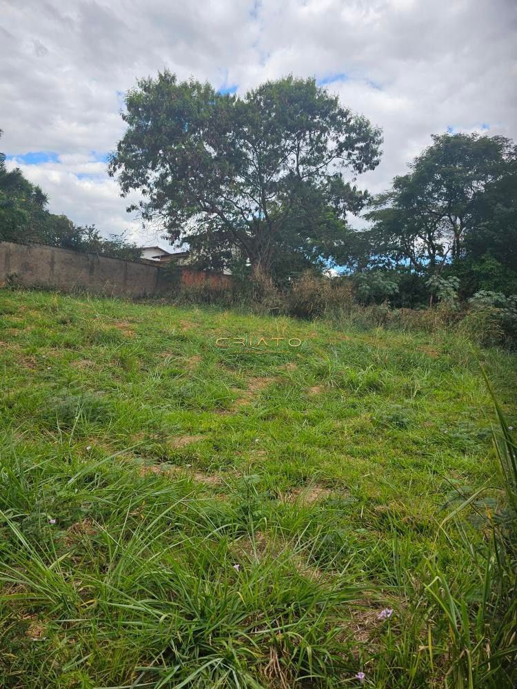 Terreno, 375 m² - Foto 3