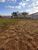 Terreno, 377 m² - Foto 4