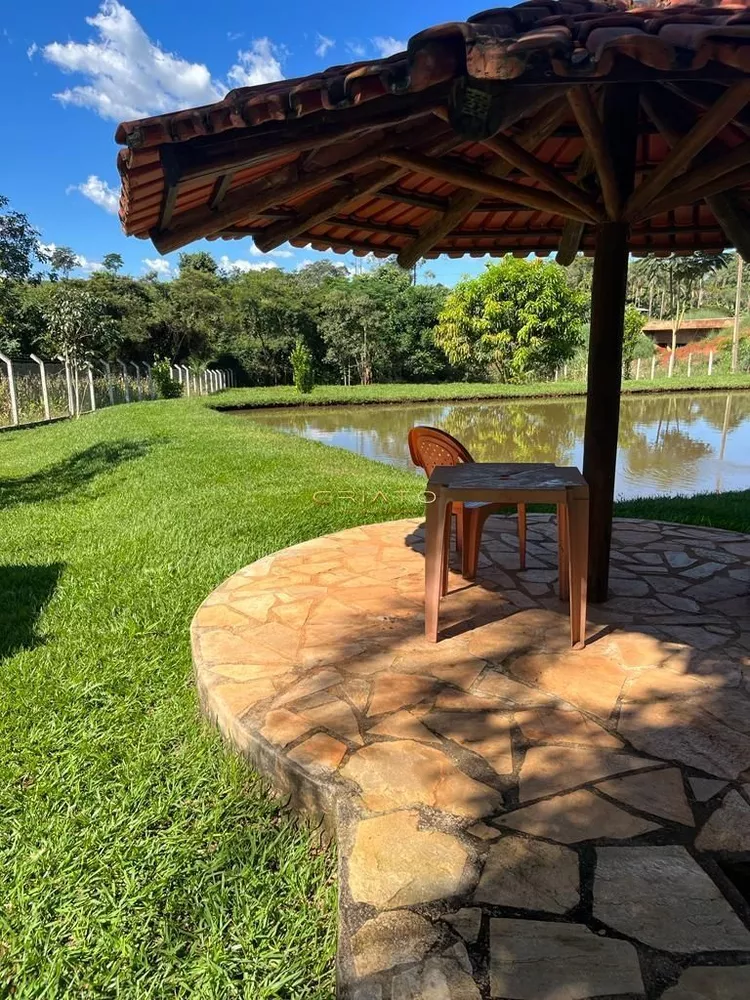 Fazenda, 6000 m² - Foto 19