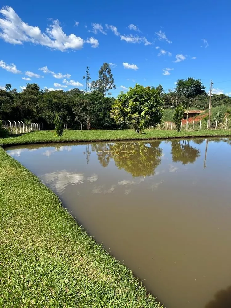 Fazenda, 6000 m² - Foto 8