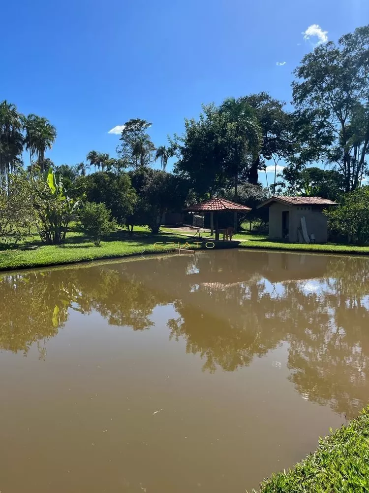 Fazenda, 6000 m² - Foto 7