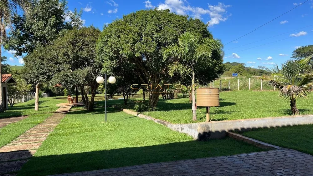Fazenda, 6000 m² - Foto 2