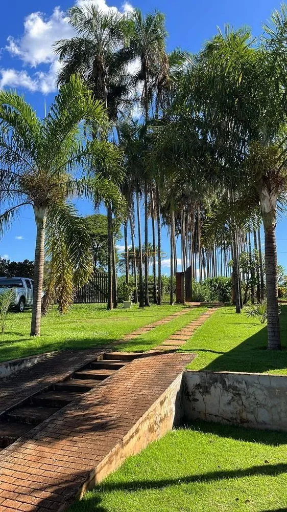 Fazenda, 6000 m² - Foto 5