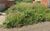 Terreno, 200 m² - Foto 4