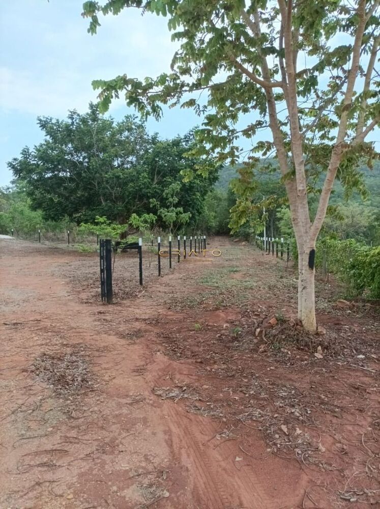 Chácara à venda com 2 quartos, 150m² - Foto 6