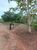 Chácara, 2 quartos, 20000 hectares - Foto 6