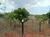 Chácara, 2 quartos, 20000 hectares - Foto 7