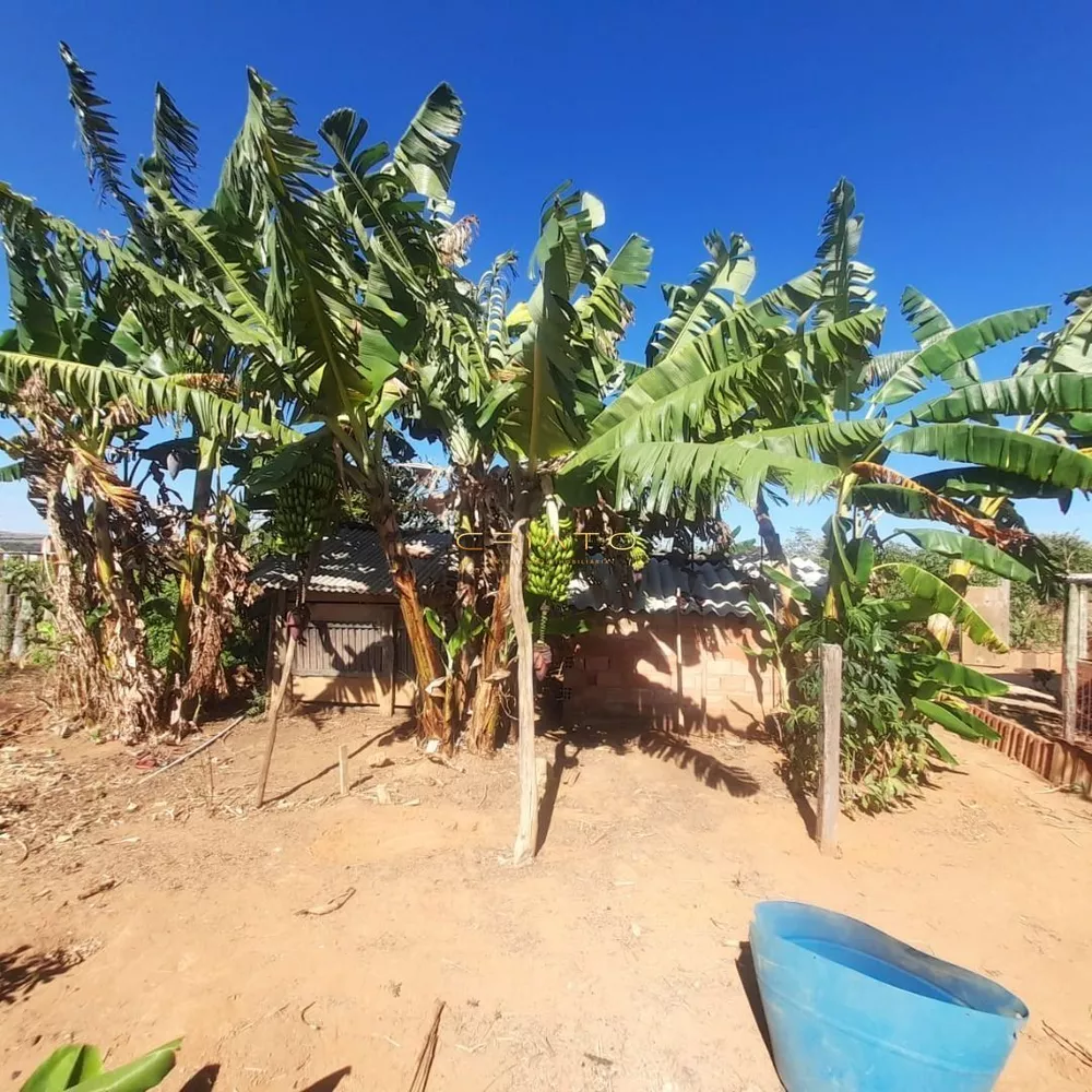 Fazenda à venda com 3 quartos, 100m² - Foto 4