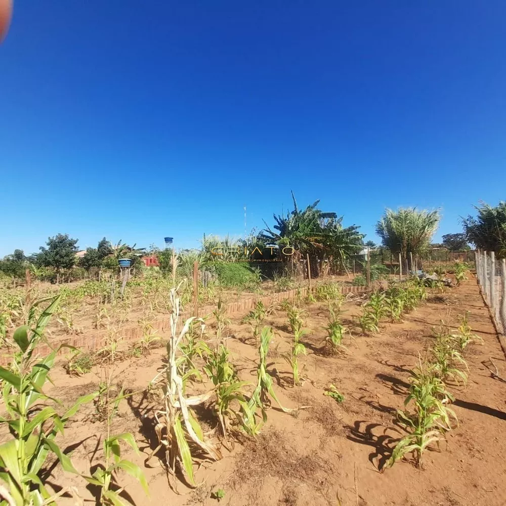 Fazenda à venda com 3 quartos, 100m² - Foto 3