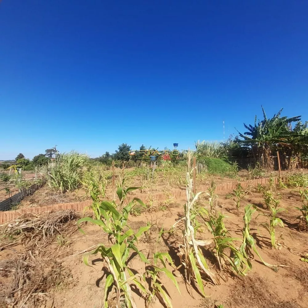 Fazenda à venda com 3 quartos, 100m² - Foto 2