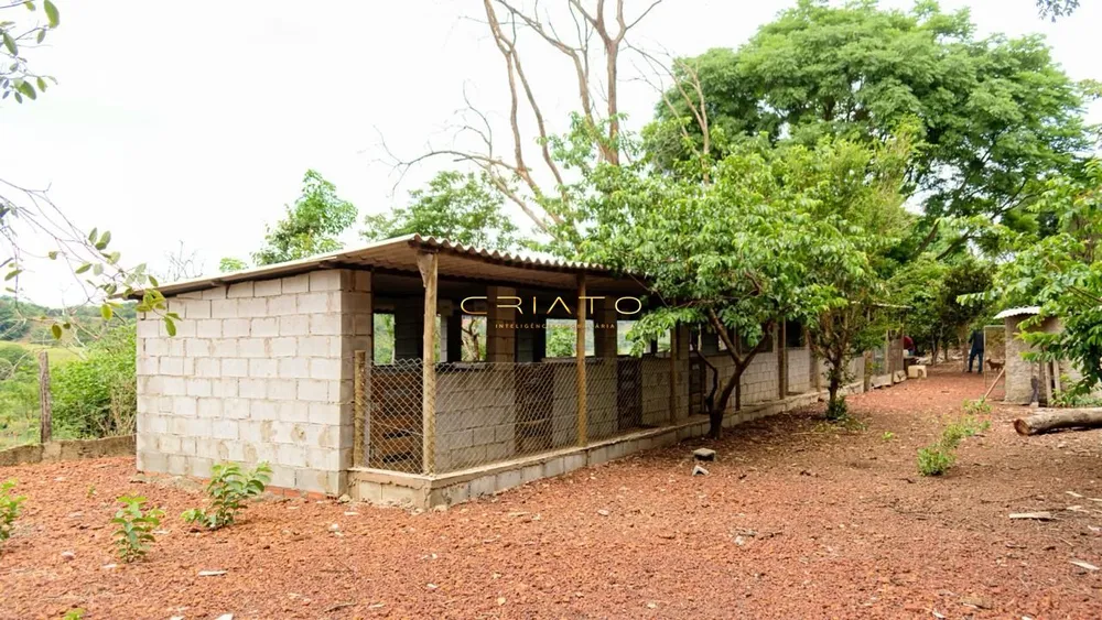 Chácara, 3 quartos, 3 hectares - Foto 12
