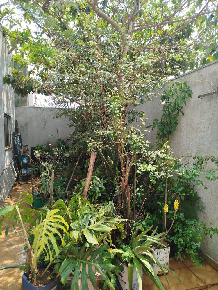 Casa, 3 quartos, 217 m² - Foto 5