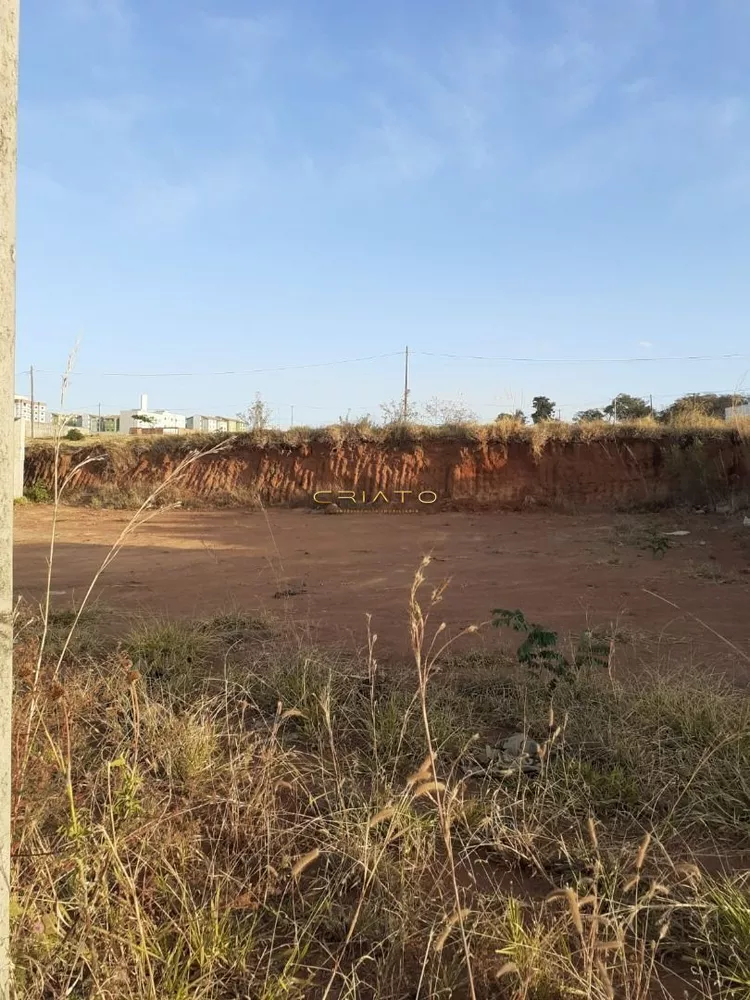 Terreno à venda, 300m² - Foto 2