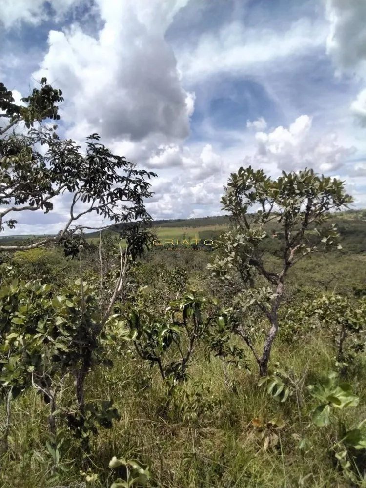 Terreno, 2 hectares - Foto 5