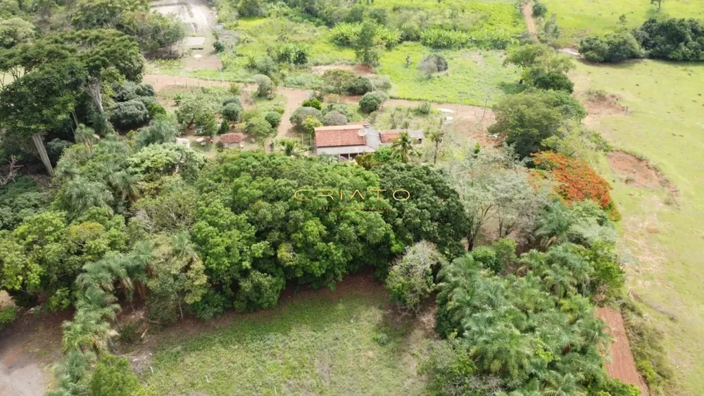 Fazenda à venda com 3 quartos, 2900m² - Foto 6