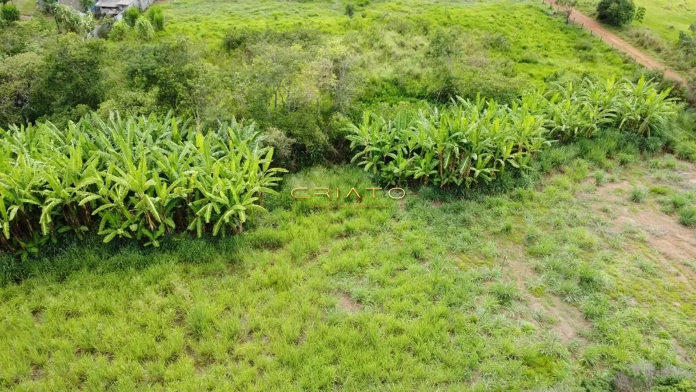 Fazenda à venda com 3 quartos, 2900m² - Foto 2