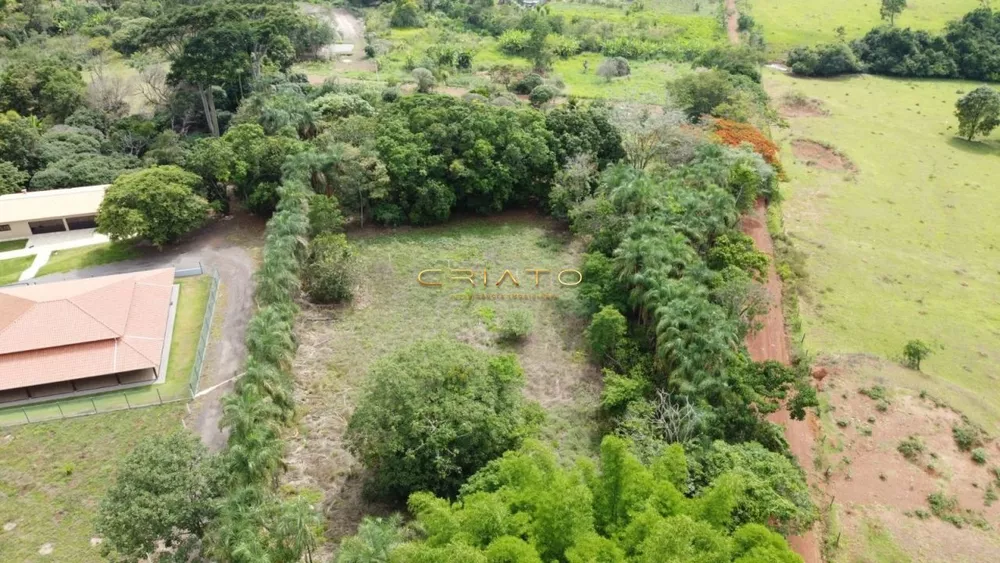 Fazenda à venda com 3 quartos, 2900m² - Foto 4