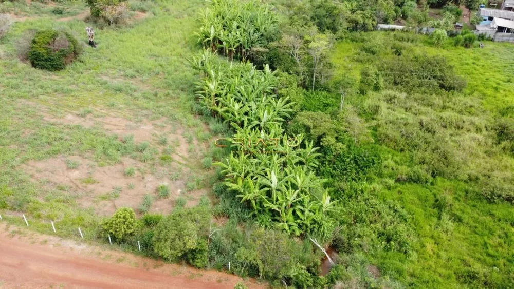 Fazenda à venda com 3 quartos, 2900m² - Foto 5