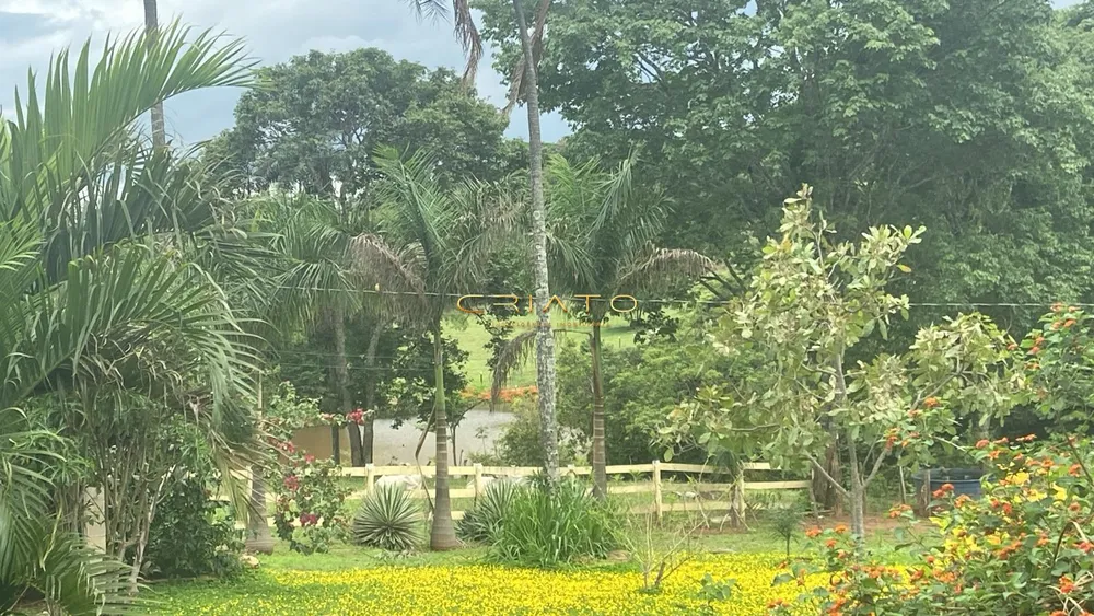 Fazenda, 188 hectares - Foto 4